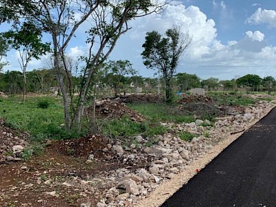 VENTA DE MACROLOTE EN CONKAL 8,000M2