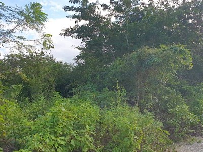 TERRENO IDEAL PARA CONSTRUCTORES O PARA INVERSIÓN