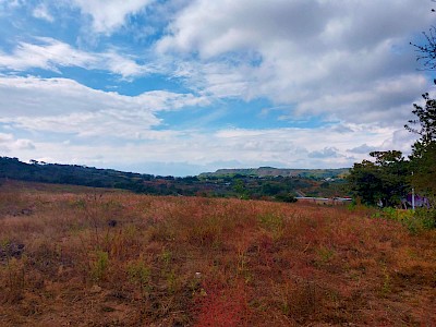 TERRENO DE 6 HECT, EMILIANO ZAPATA, TUXTLA GUTIERREZ