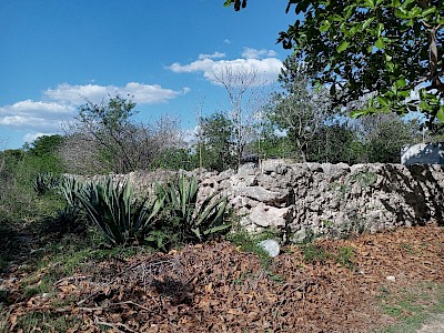 Lote en Umán 