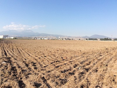Terreno propiedad de 3 has a 800 mts de Tec de Monterrey campus Toluca, en San Buenaventura