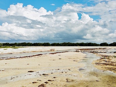 VENTA DE 3KM DE PLAYA CON CASCO DE HACIENDA