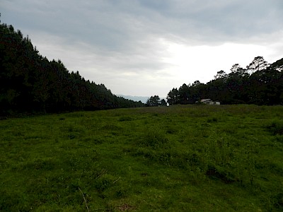 Cinco hectáreas escrituradas en Mesa de Dolores, en Valle de Bravo,
