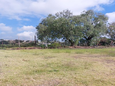 En Venta Terreno Ideal para Fraccionamiento de Interés Social