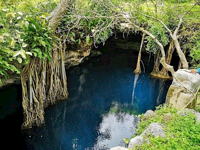 LOTE PREMIUM CON LAGO Y CENOTE EN MÍTIKAH, VALLADOLID, YUCATÁN