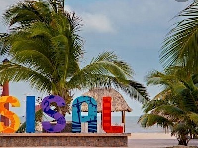 MACRO LOTE EN VENTA SISAL 