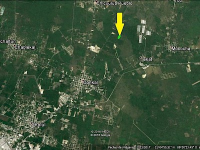 Terreno en Ventade  2.6 hectáreas en Conkal, Merida,Yucatan.
