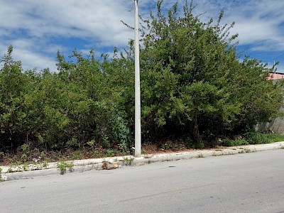 TERRENO DE 815m2 EN VENTA EN CHICXULUB PUERTO