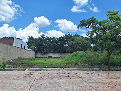 TERRENO EN VENTA PRIVADA ARBÓREA 