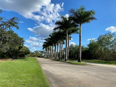 VENTA DE TERRENO RESIDENCIAL NATURALEZA EN SU MAXIMA EXPRESION