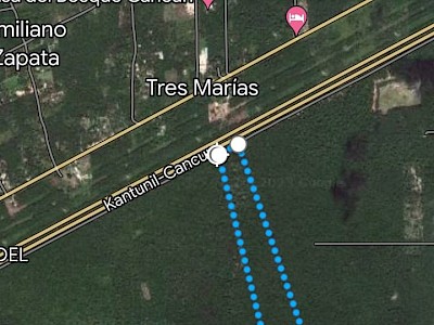 10 Hectareas entre Cancun y Leona Vicario 