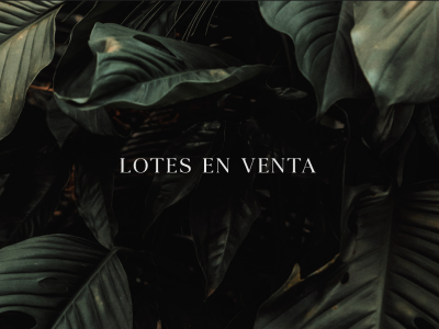VENTA DE LOTES RESIDENCIALES A 15 MIN DE MERIDA