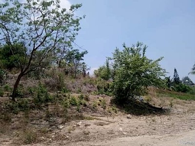 SOY UN TERRENO PLANO DE 10’000 M2 EN RENTA UBICADO AL SUR ORIENTE DE TUXTLA GUTIERREZ, CHIAPAS, COLONIA COQUELETQUITZÁN.