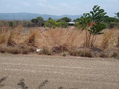 TERRENO EN VENTA EN EL FRACCIONAMIENTO “LAS CABAÑAS” EN BERRIOZÁBAL A 7 MINUTOS DE LA POCHOTA EN TUXTLA GUTIÉRREZ POR LA PISTA. ADELANTE DEL AUTÓDROMO CHIAPAS. 1000 M2 EN SÚPER ESQUINA.
