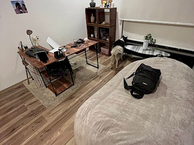 Hermoso departamento en lo alto bosque real recién remodelado 