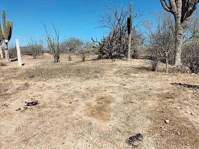 terreno en la calle Retama