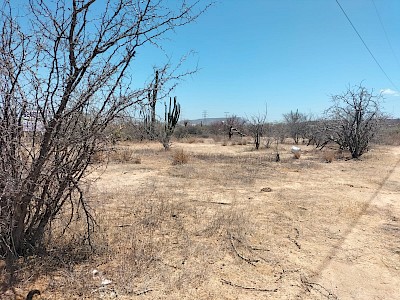TERRENO EN VENTA EN LA PASION "B" EUCALIPTO, LA PAZ, BCS