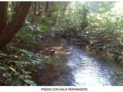 RANCHO EN VENTA "LA VICTORIA"