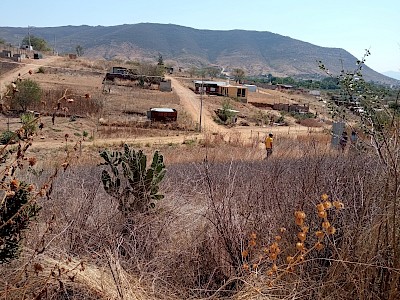 Terrenos en venta 2 lotes