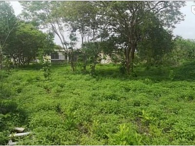 VENTA. EXCELENTE TERRENO PARA INVERSIÓN