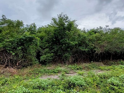 Terreno 5 hectareas Chamuyil