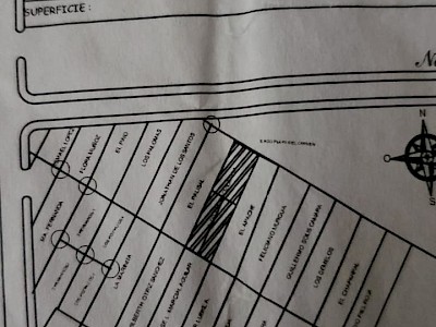 SE REMATAN 100 HECTAREAS CON CENOTE EN PLAYA DEL CARMEN