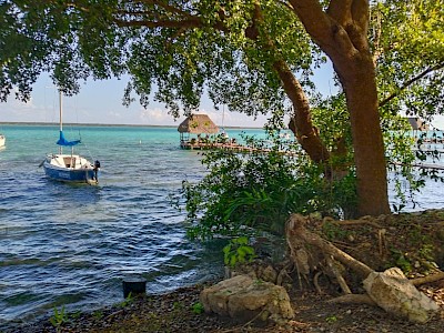 PREDIO EN VENTA BACALAR SOBRE LA COSTERA 