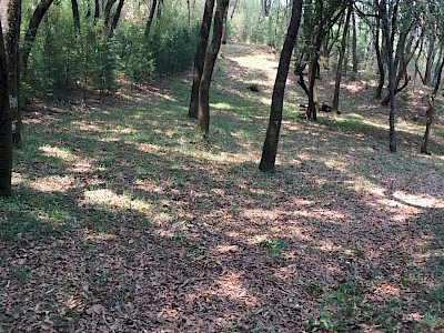 TERRENO EN VENTA EN SANTA MARIA MAZATLA, JILOTZINGO