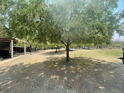 CON FUENTE PERMANENTE DE AGUA, GRAN OPORTUNIDAD EN VENTA DEL BALNEARIO ECOLOGICO EL TERCO UBICADO EN LA COLONIA AMÉRICA LIBRE, PUNTO CONOCIDO COMO LAS LIMAS, MUNICIPIO DE CHIAPA DE CORZO, CHIAPAS.