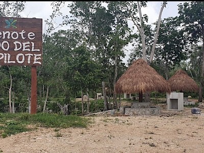 TERRENOS ECOLOGICOS EN LA RUTA DE LOS CENOTES PUERTO MORELOS