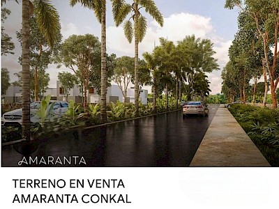 5 LOTES EN VENTA PRIVADA AMARANTA 