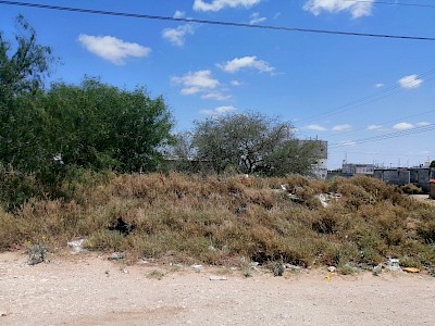 Venta de Terreno ubicada en la Col. Nuevo México Tiene Escrituras, LIBRE DE GRAVAMEN