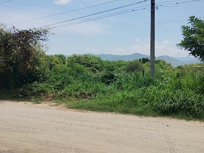 MAGNÍFICO TERRENO PLANO EN LA ZONA DEL COLEGIO ANDES, CONOCIDA COMO EL MANGUITO CON DIMENSIONES DE 65 X 50 METROS, EN TUXTLA GUTIÉRREZ.