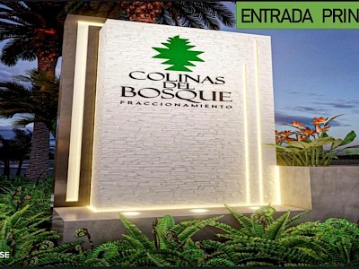 HERMOSOS LOTES EN COLINAS DEL BOSQUE