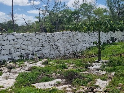 Venta. Lotes de terreno en Hunucma, Mérida, Yuc