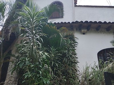 TERRENO DE 2120 M2 EN VENTA EN LA ZONA DE DON VENTURA EN LA CALLE PIÑÓN No. 17, MUNICIPIO DE SAN FERNANDO, CHIAPAS, EN UN CLIMA EXCEPCIONAL. ME VENDEN COMO TERRENO.