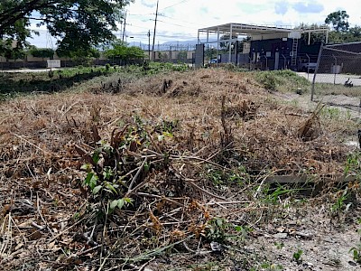 TERRENO DE 1’611 M2 EN VENTA EN UNO DE LOS MÁS EXCLUSIVOS FRACCIONAMIENTOS DE LA CIUDAD DE TUXTLA GUTIÉRREZ, CLUB CAMPESTRE DE TUXTLA; ESTÁ EN EL ACCESO DE SERVICIOS AL FRACCIONAMIENTO, EN LA ESQUINA CON LA CARRETERA A RAYMUNDO ENRÍQUEZ.