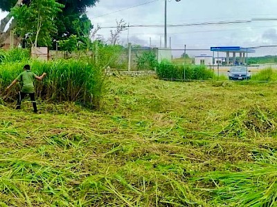 Terreno Industrial y Comercial en Venta, Crucero de la muerte, Berriozábal, Chiapas