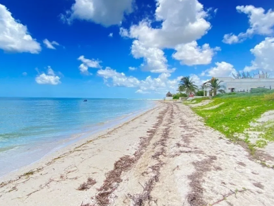 VENTA DE TERRENO FRENTE AL MAR, SAN BENITO, YUCATÁN, BEACHFRONT