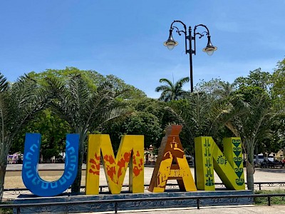 Venta de terrenos en Umán desde 1 hectárea, Yucatán
