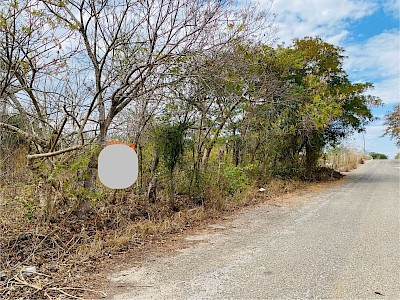 SOY UN TERRENO EN VENTA A CINCO MINUTOS DE LA SALIDA PONIENTE DE TUXTLA GUTIÉRREZ CON UNA SUPERFICIE DE 625 M2, IDEAL PARA BODEGA O CASA DE CAMPO EN LA ZONA DEL AUTÓDROMO CHIAPAS.