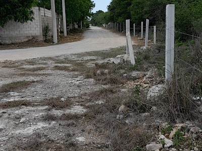 Venta de terreno en Dzitya, Mérida, Yucatán