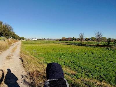 Venta terreno polotitlán carr 57