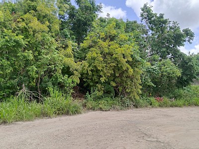 TERRENO  EN  VENTA  ALAMOS  2 