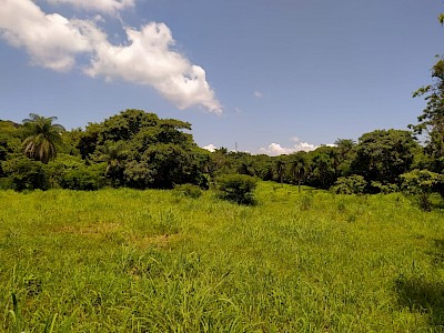 HERMOSO TERRENO SUBURBANO COLINDANTE CON LA MANCHA URBANA DE LA COLONIA EL JOBO AL SUR DE TUXTLA GUTIERREZ, CHIAPAS UBICADO EN UNA MESETA A 850 MSNM. MANTIENE UN CLIMA CALUROSO TODO EL AÑO. 