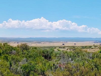 “Terrenos Campestres - 13 Lotes desde 450 m², Total de 5,856.35 m² (Más de Media Hectárea)”