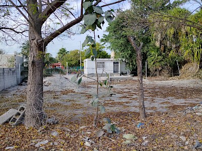 Venta de terreno en Chelem, Yucatán