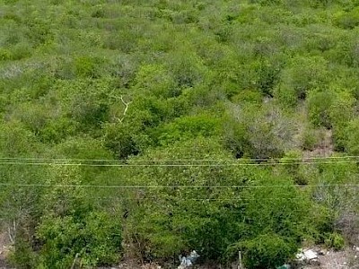 Venta de 7 hectáreas ubicadas en Seye, Yucatán. 