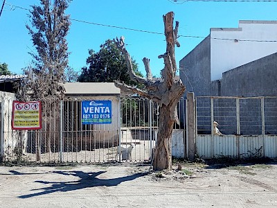 CASA EN VENTA POR COL. LAS PALMAS, CALLE NARANJO DE 10 POR 30 MTS, 