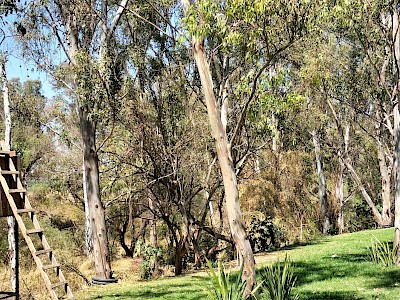 Cañadas del Valle, Terrenos en venta 